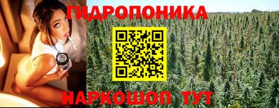 mdpv Аша