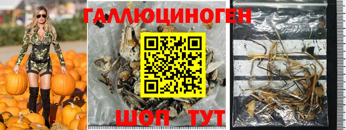 Галлюциногенные грибы ЛСД Артёмовский
