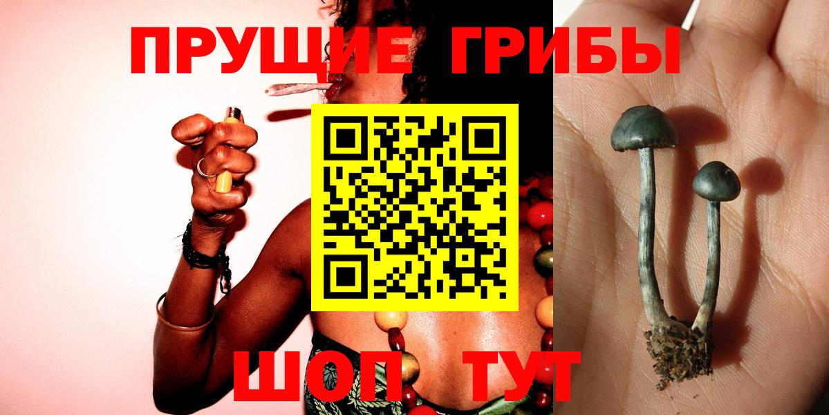 Галлюциногенные грибы мухоморы  Вход с VPN  Артёмовский  Псилоцибиновые грибы мухоморы 